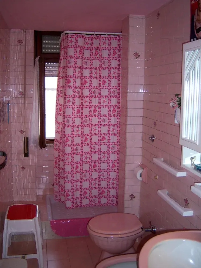 Bed and Breakfast Geckos