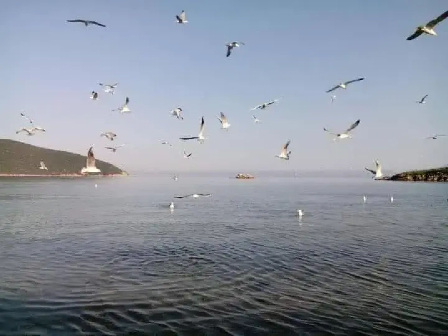 Anastasia's Apartment 2