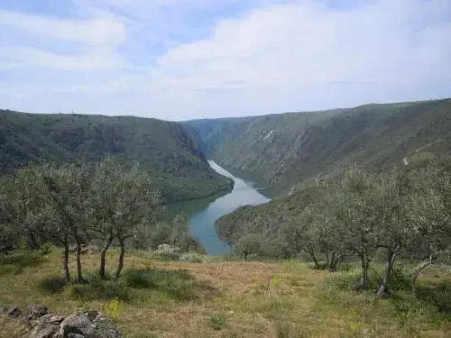 Rinconada de las Arribes