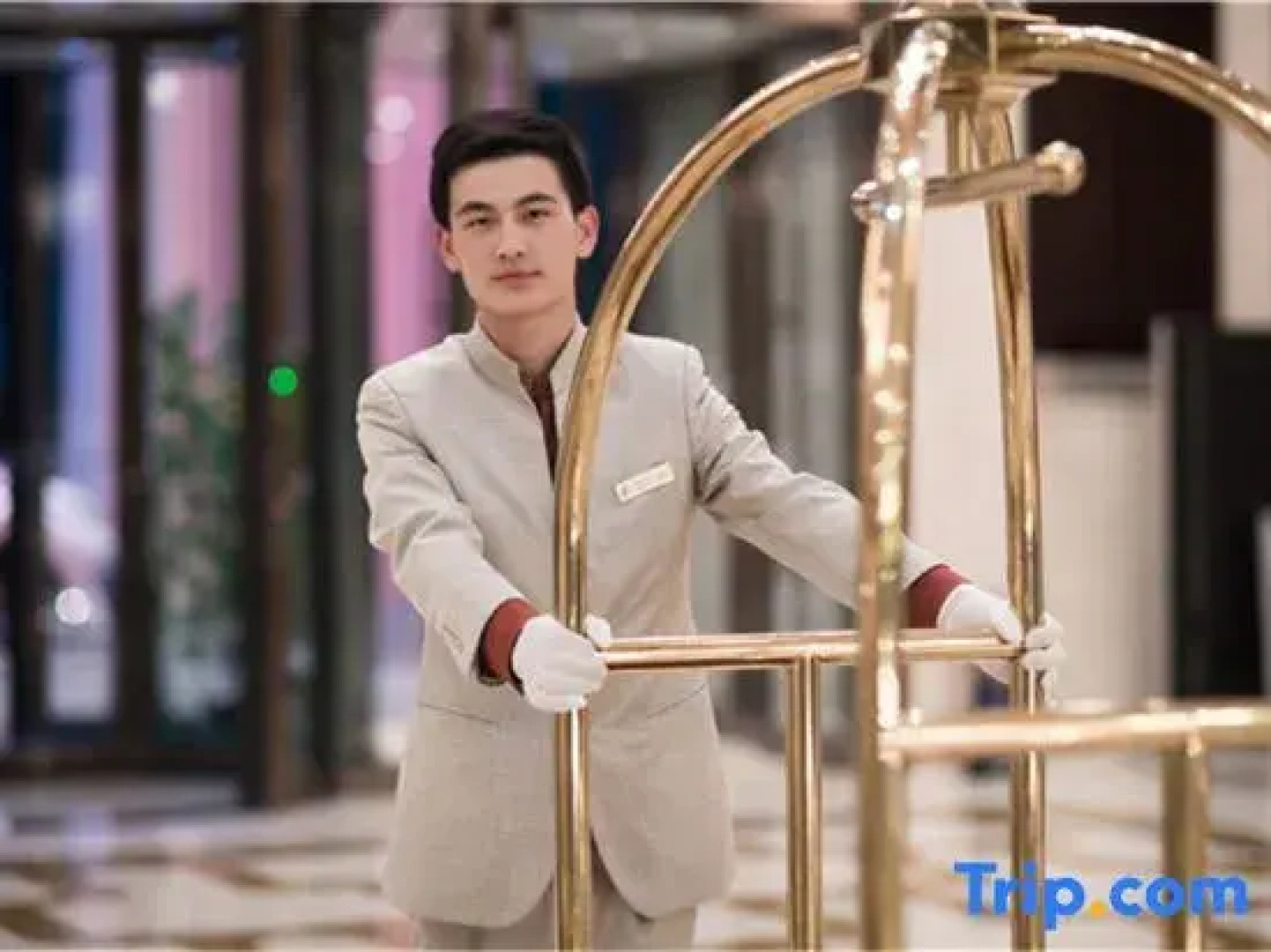 Arcadia International Forest Hotel