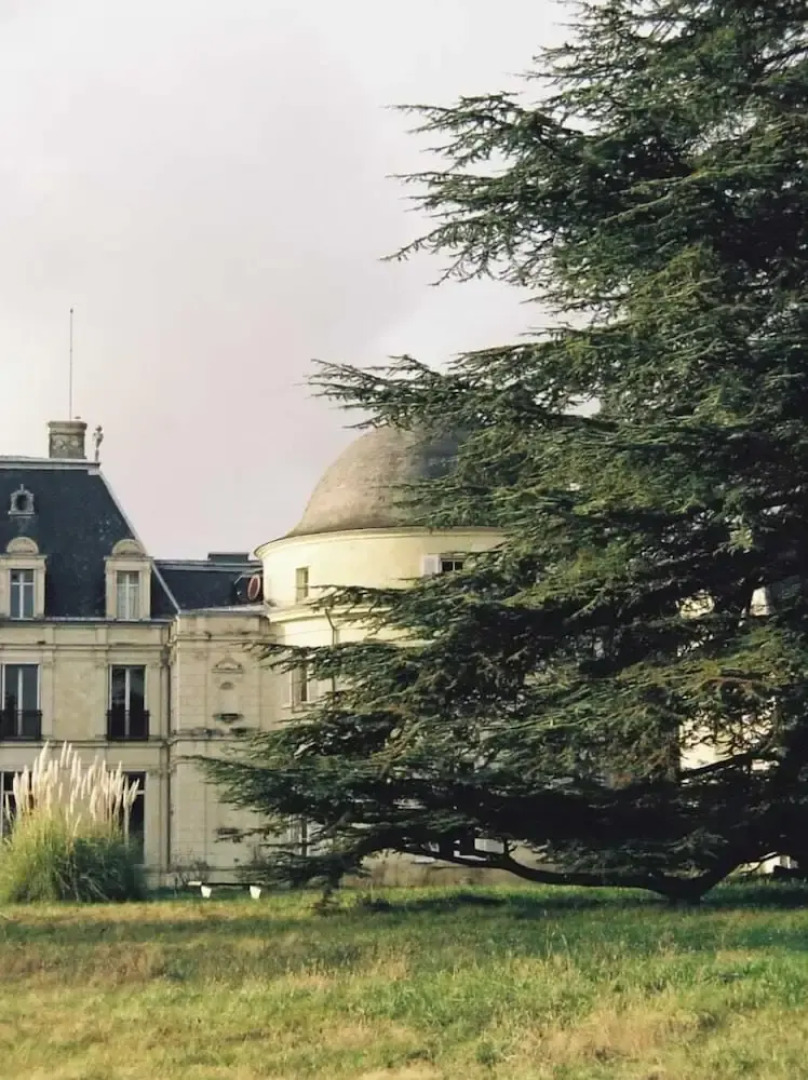 Château Royal de Benays