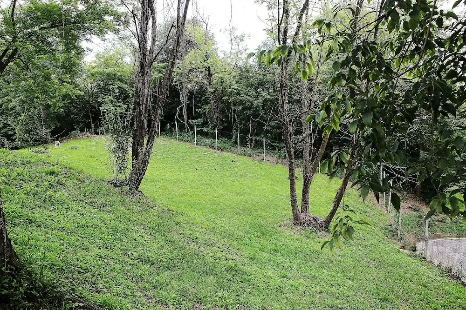 Villa Silvia Olivetti