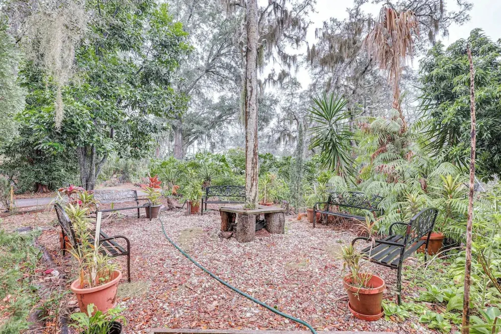 Spacious Brandon Home: 10 Mi to Downtown Tampa!