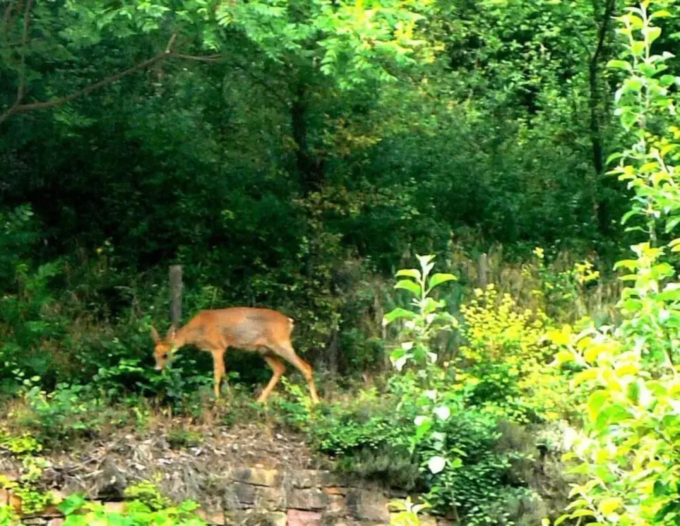 B&B Le Croissant de Lune