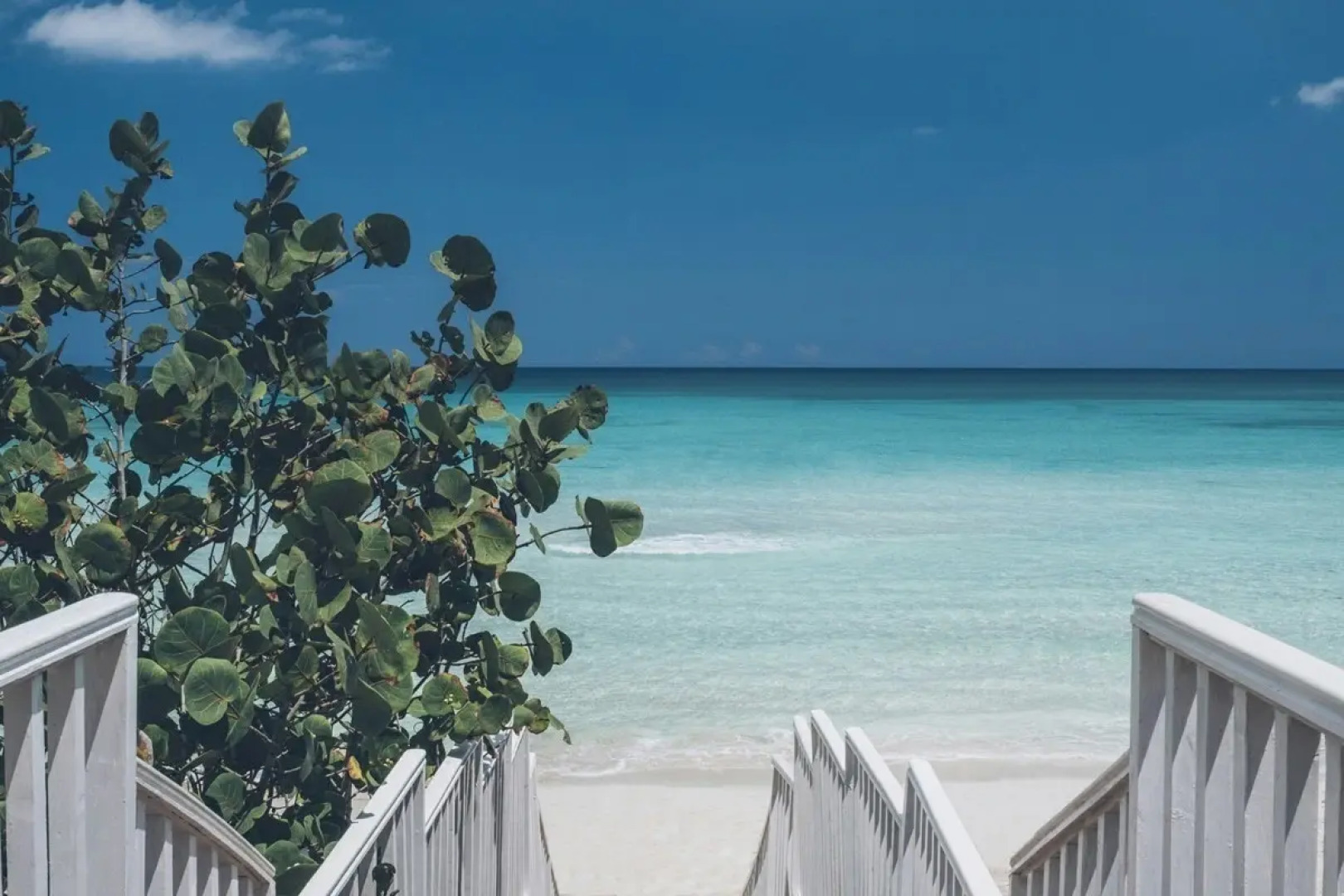 Iberostar Bella Costa