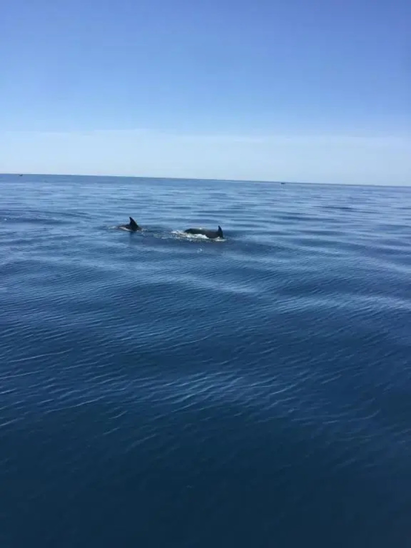 200m de la Plage ,3mn du Port a 50m du Centre Ville