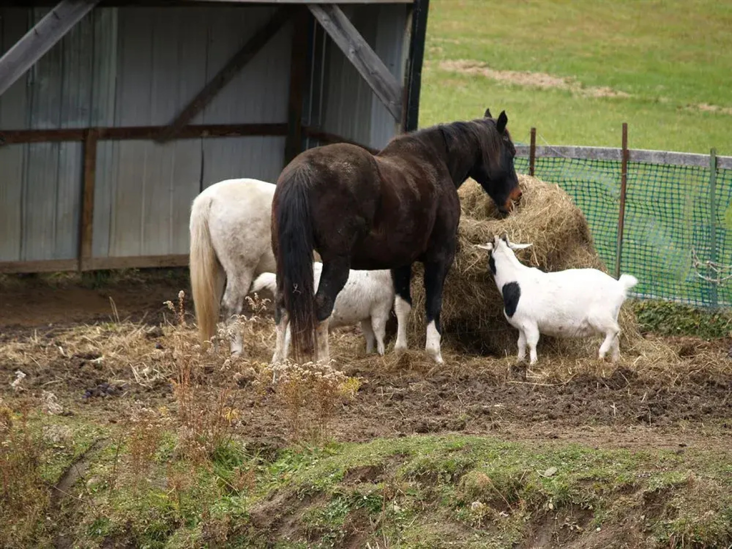 Auberge La Belle Verte