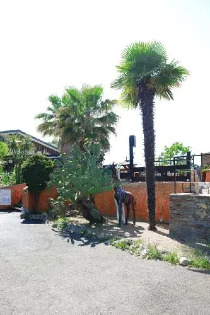 Hôtel Le Banana's -  Auberge du Corsigliese