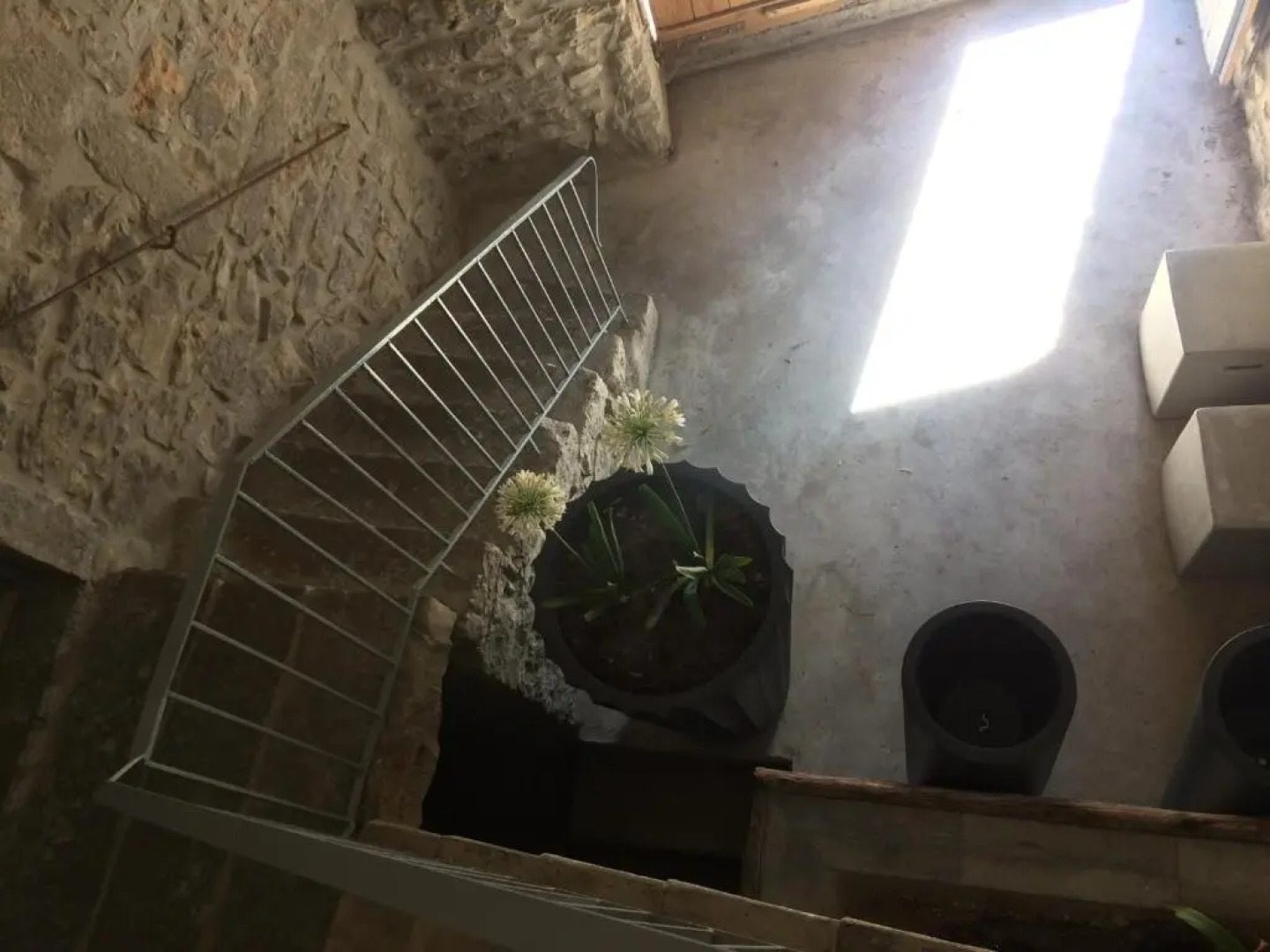 l'oiseau vert design