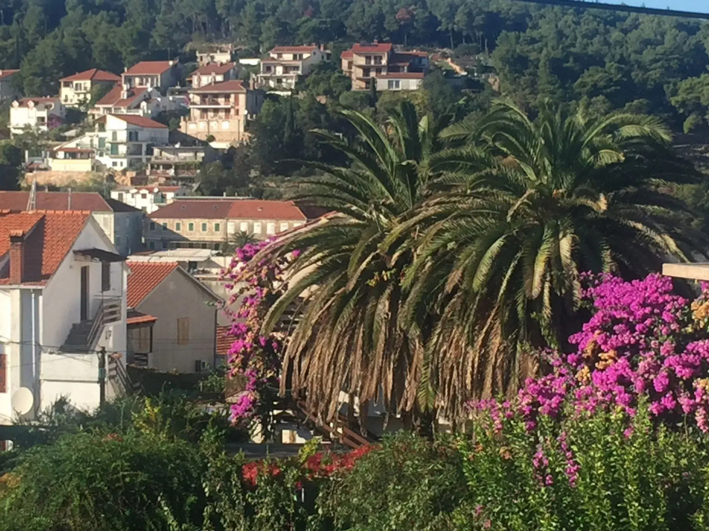 Apartment Sjajna - garden: A1 Jelsa, Island Hvar