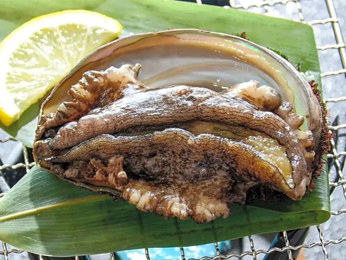 Ryokan Kaikoukan / Vacation STAY 9269