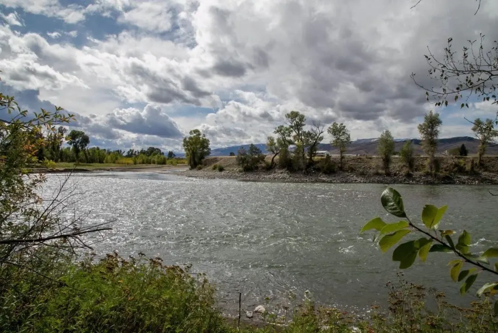 PV - Yellowstone Pines