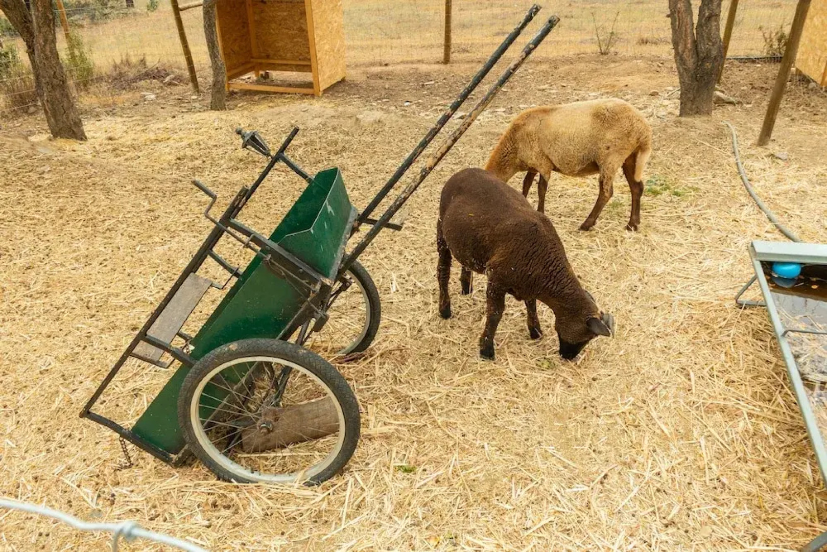 Reflexos d'Alma Turismo Rural