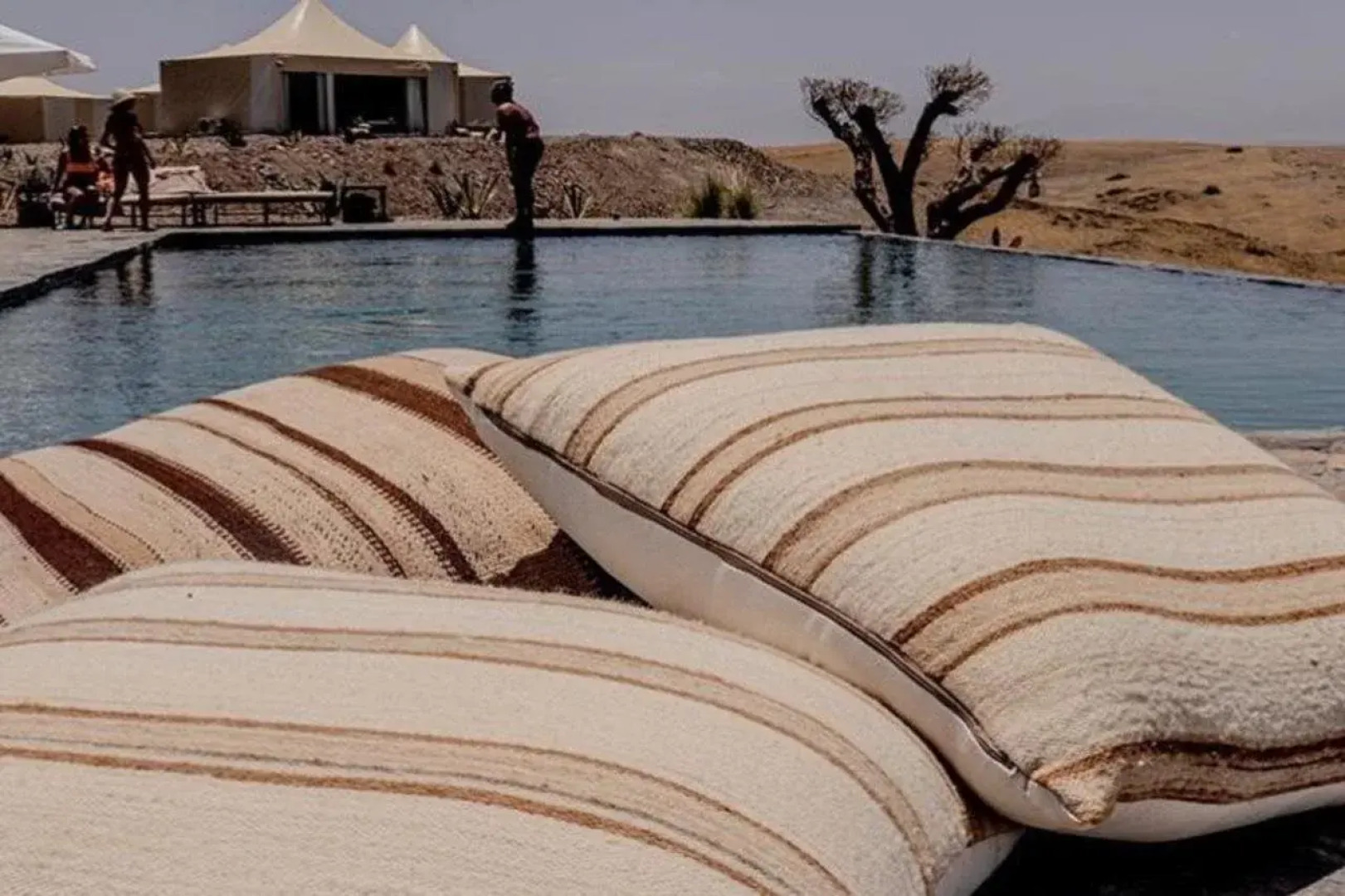 The White Camel Lodge & Tents