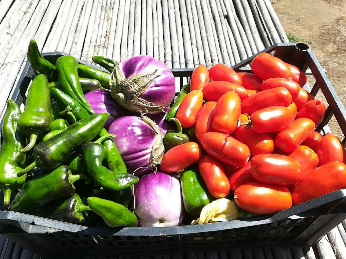 Masseria Fracchicchi