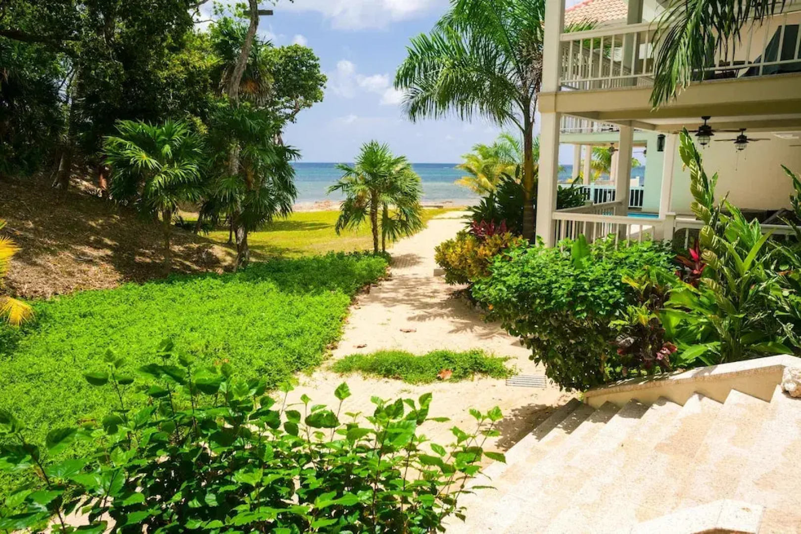 Lawson Rock Parrotfish 106