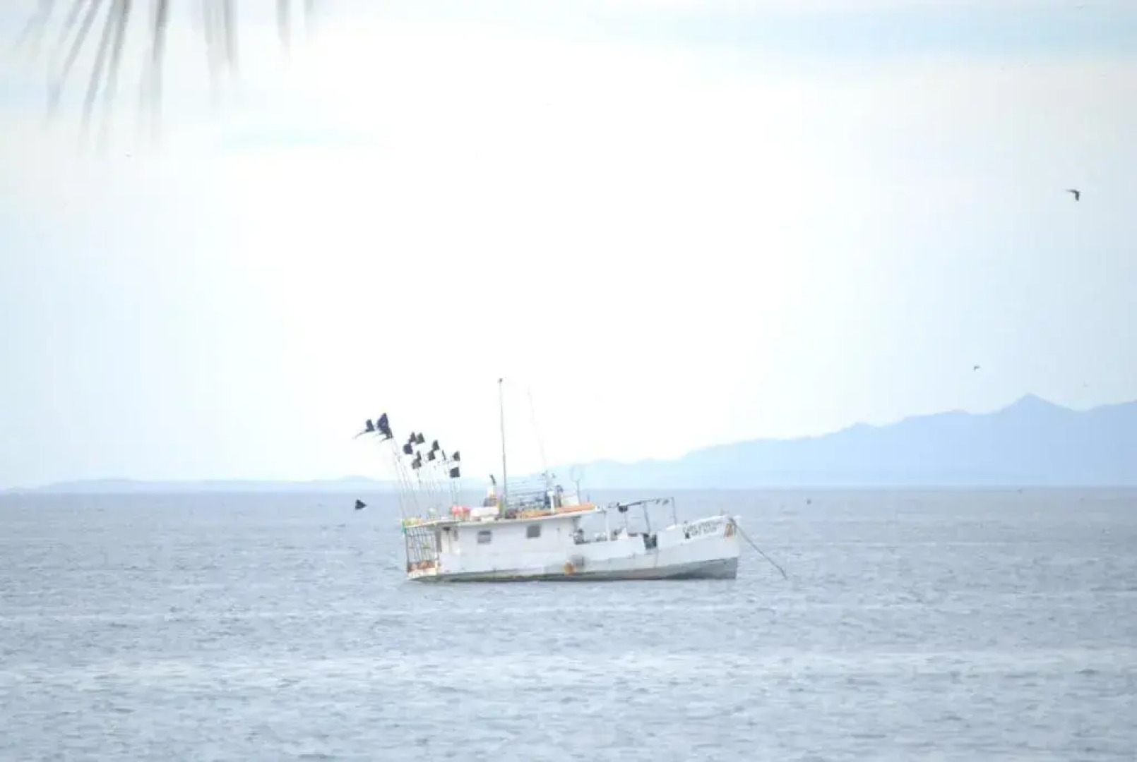 Hotel M&M Beach House