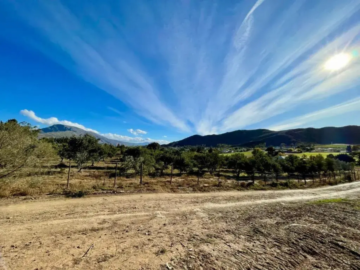 Blue Cow Barn - Boutique Farm