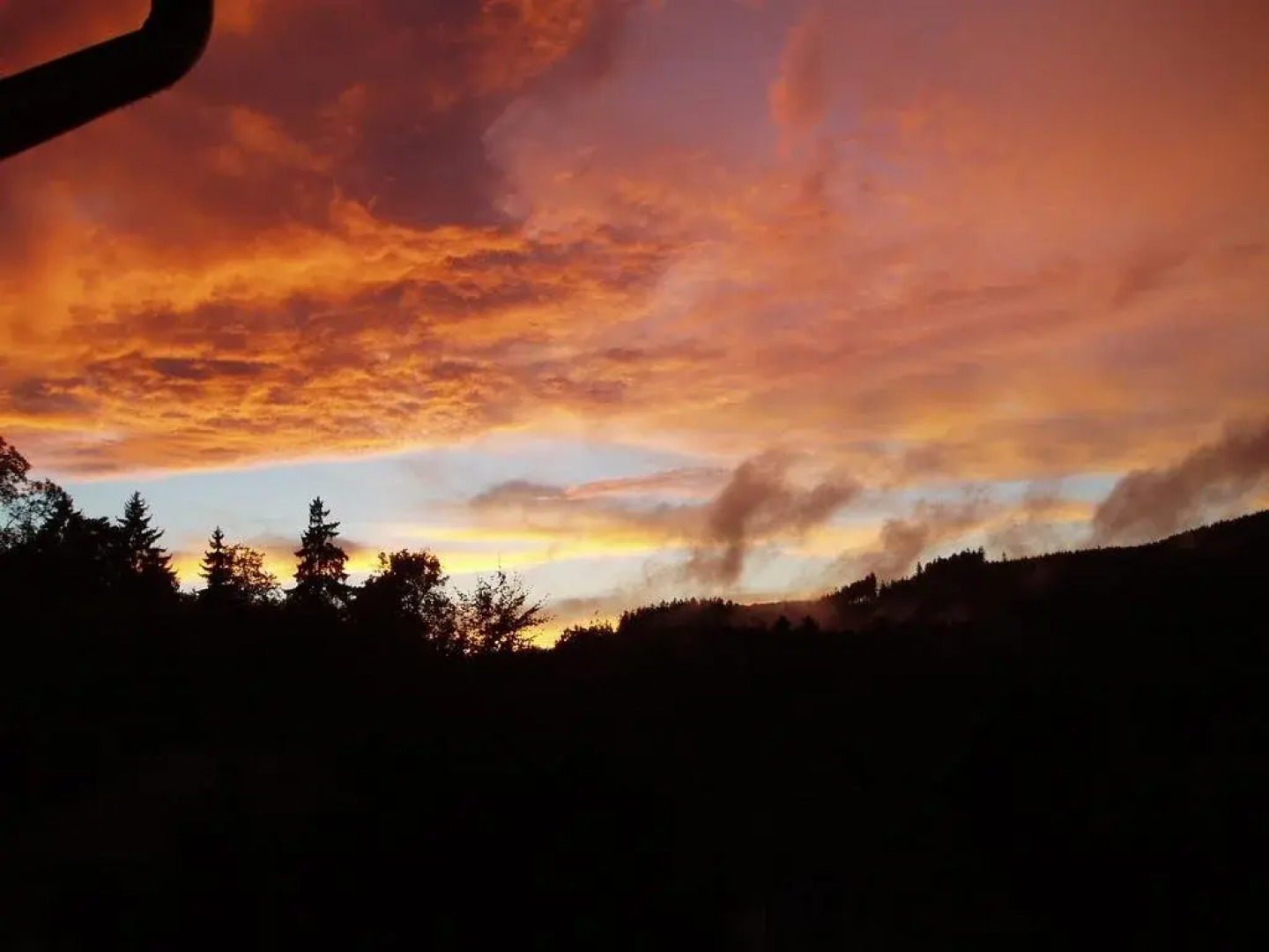 Ferienhotel Waldfrieden