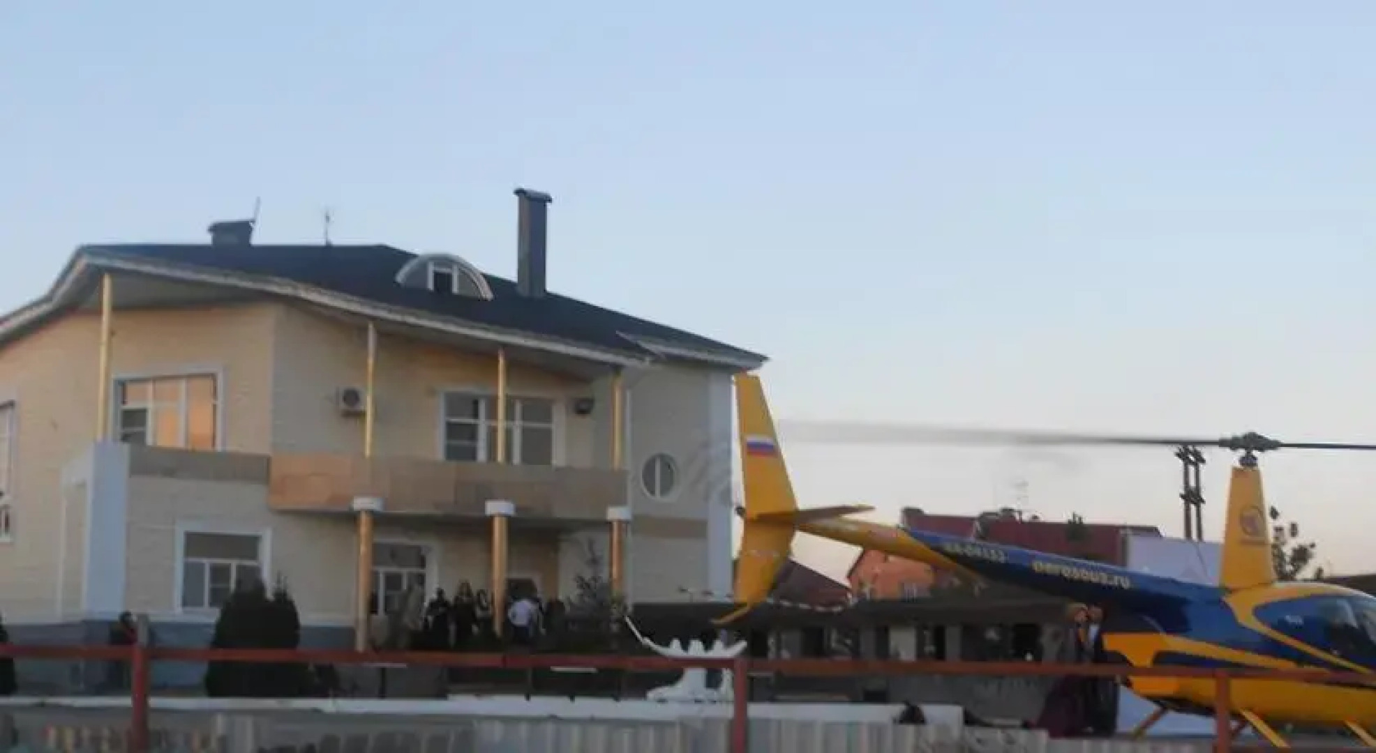 Королевский Дрозд