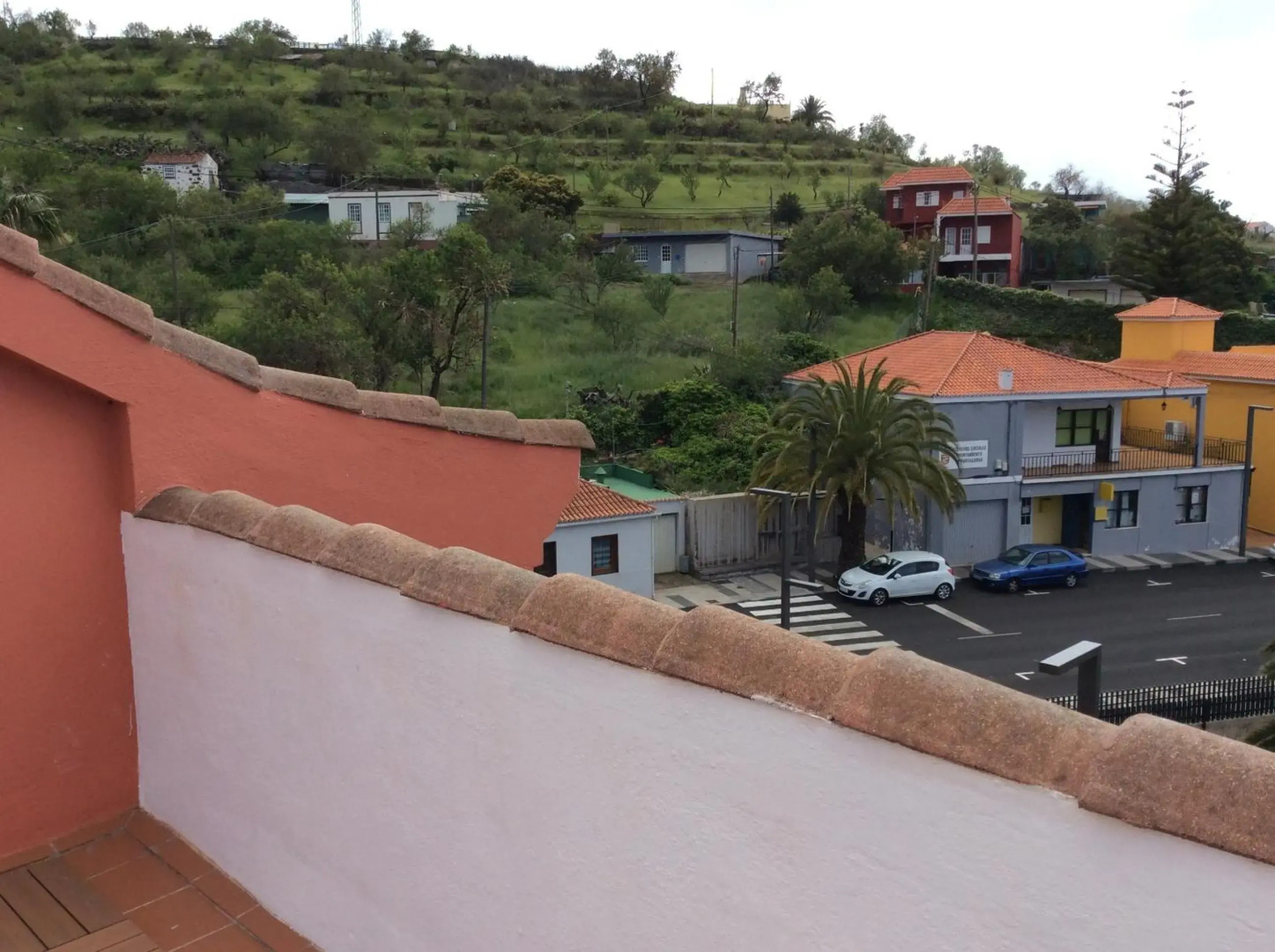 Pequeño Estudio Pinar 2