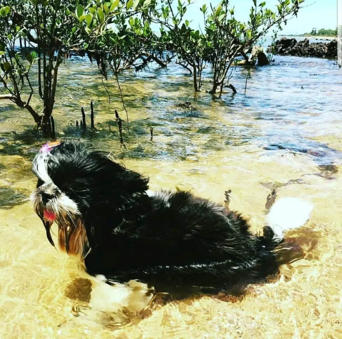 Pousada Pouso da Pardoca