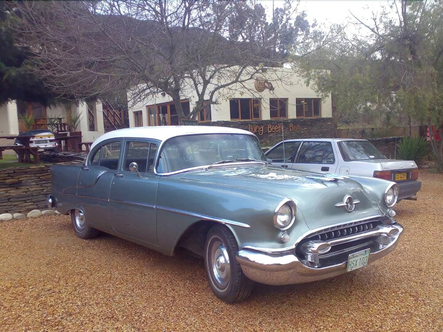 Barrydale Backpackers and Dung Beetle - Hostel