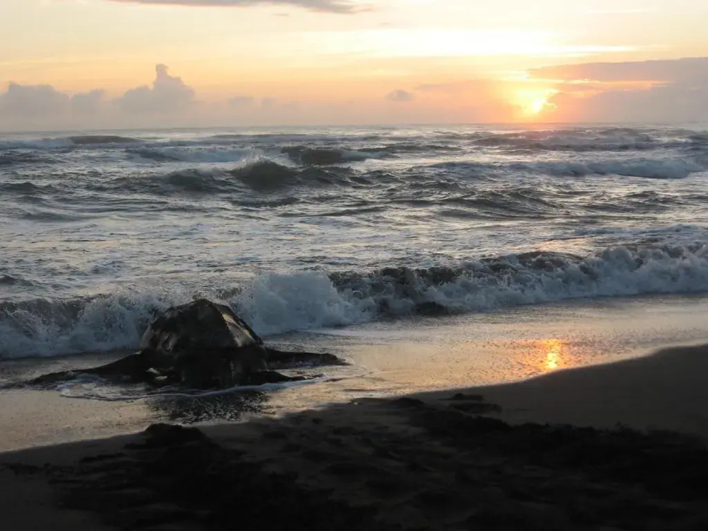 Casa Grande at Pacuare Reserve