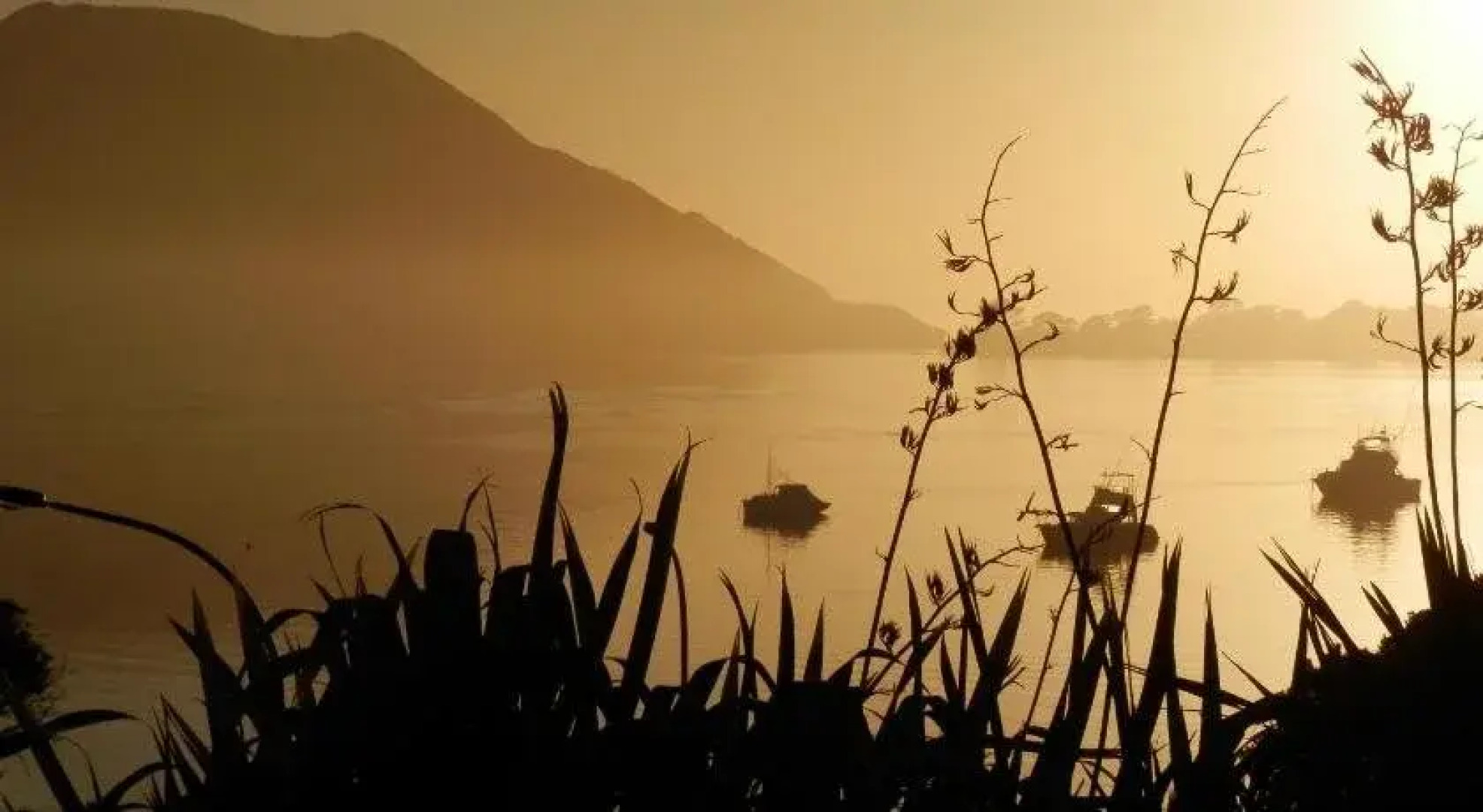 Pukenui Lodge Motel & Hostel/Backpackers