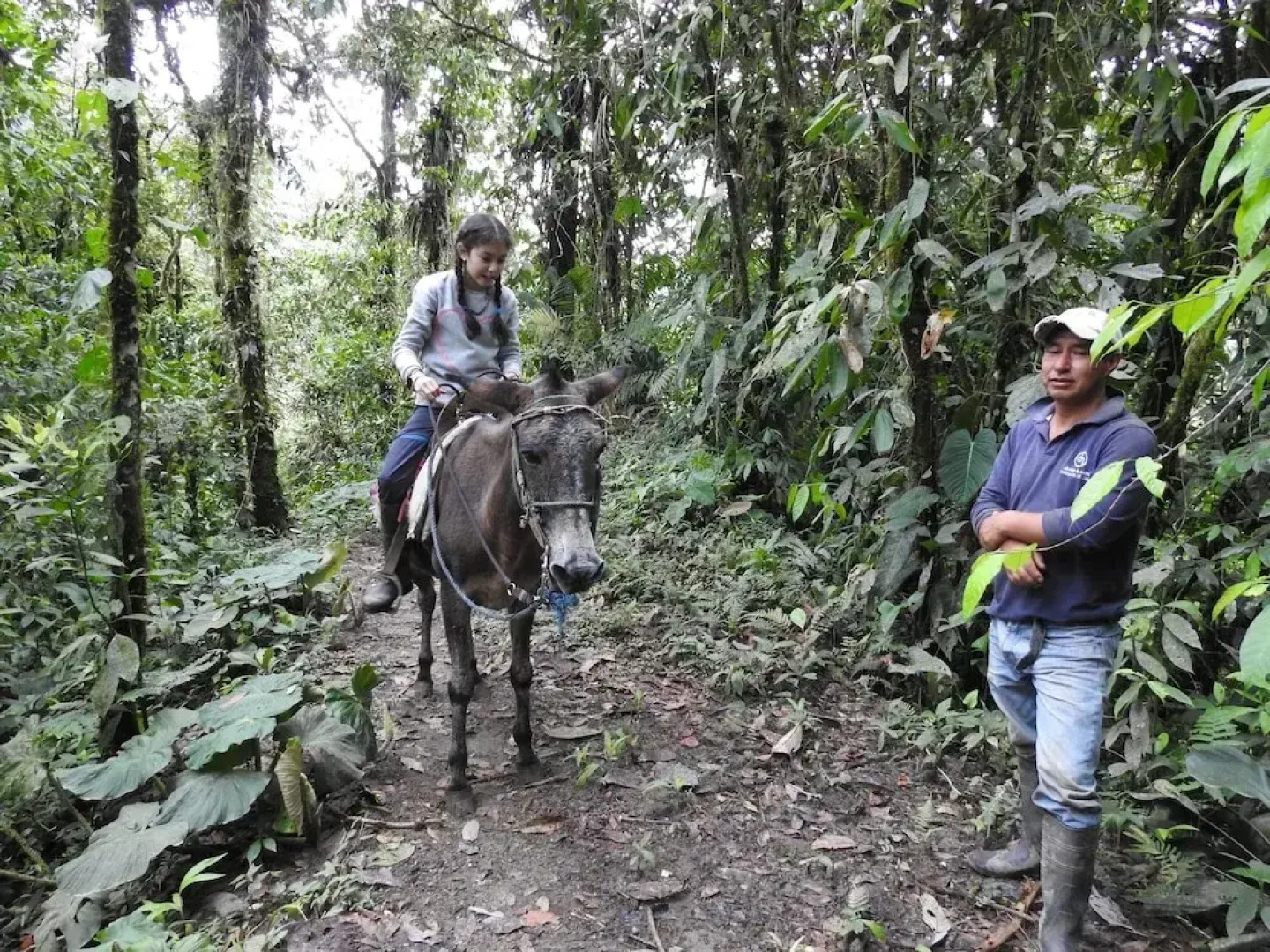 Biohostal Mindo Cloud Forest