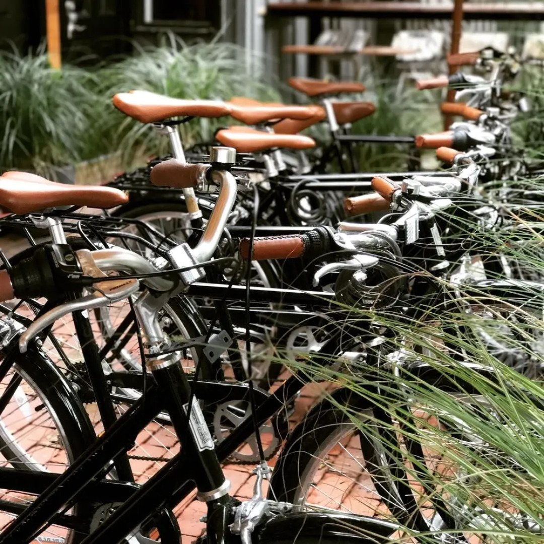 American Beech Hotel