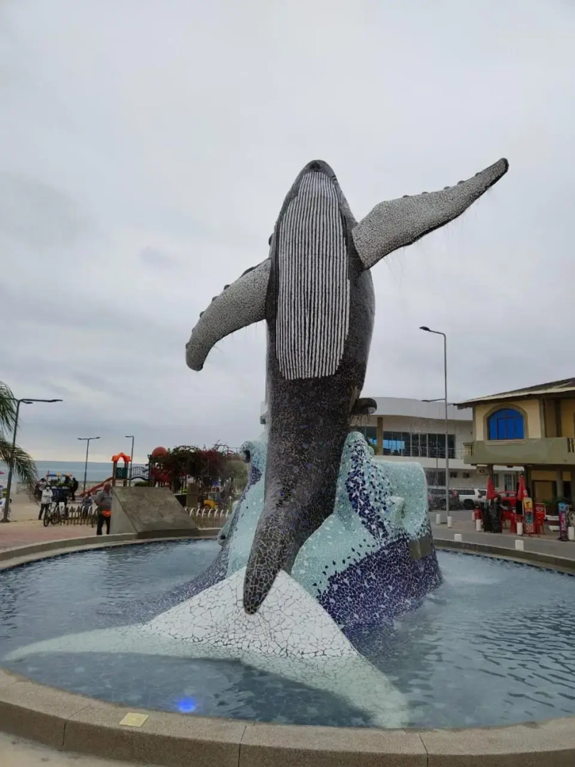 Blackpoint Ballenita