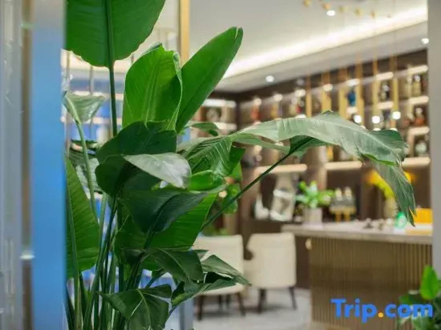 EZZI Hotel (Nantong Haohe Scenic Area Haierxiang Subway Station)