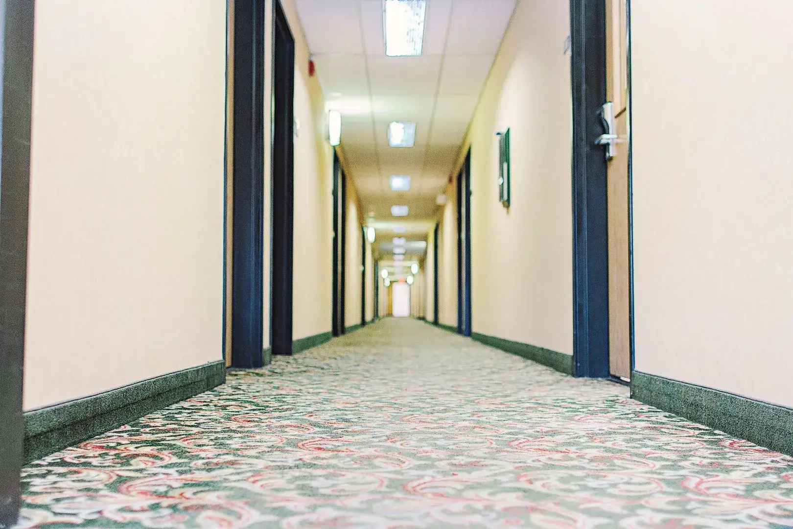 Lavissh Inn & Suites