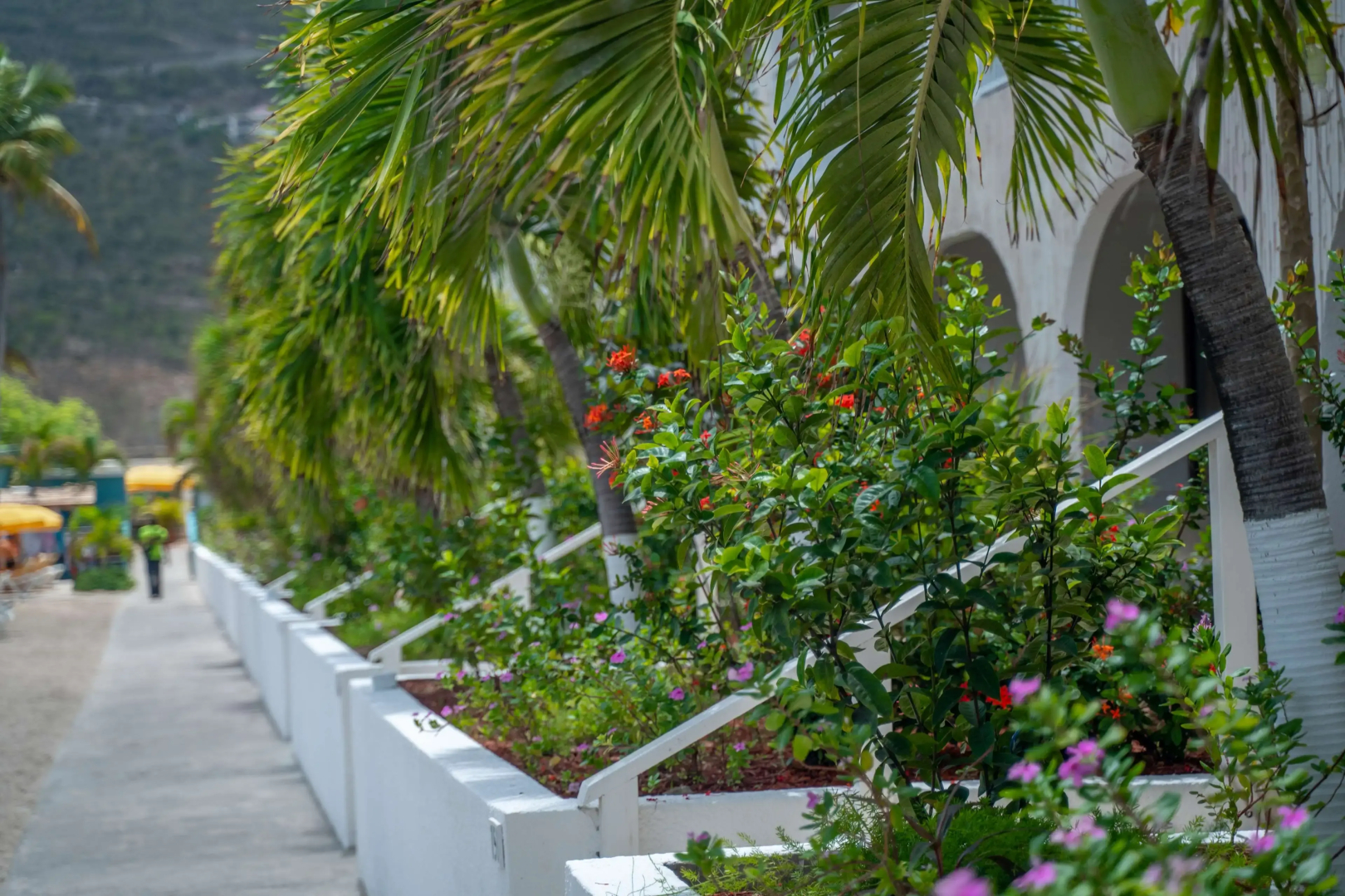 Belair Beach Hotel