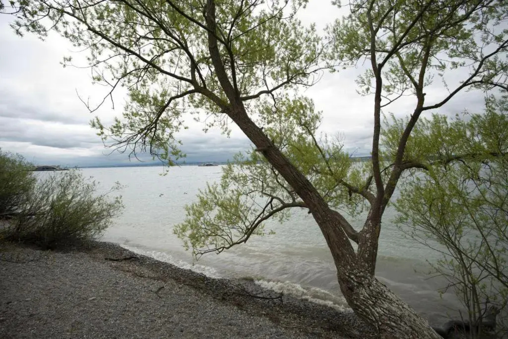 Ferienwohnungen Stella Regia Stella Regia 2