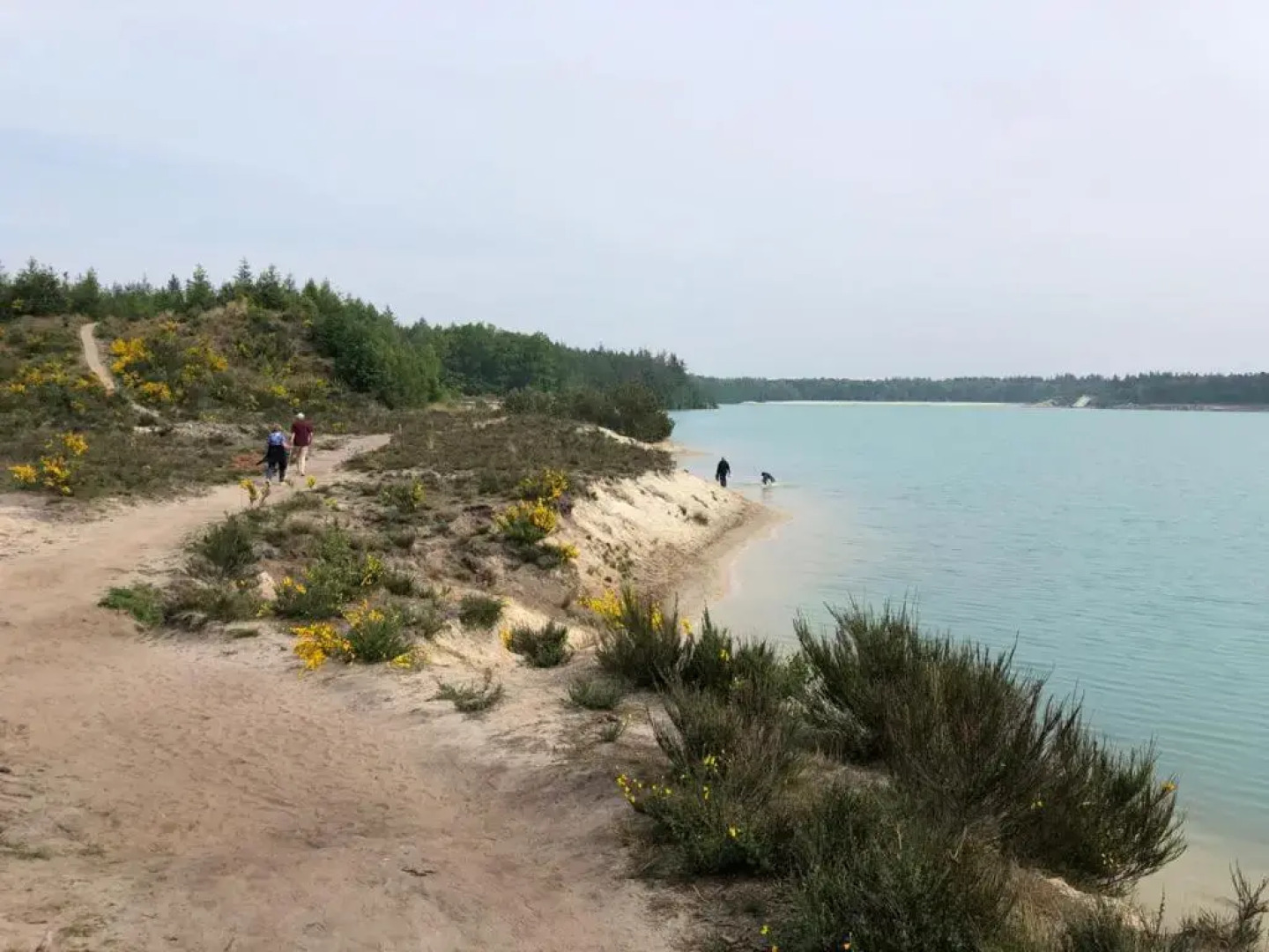 Stijlvolle bungalow nabij prachtige zwempoel