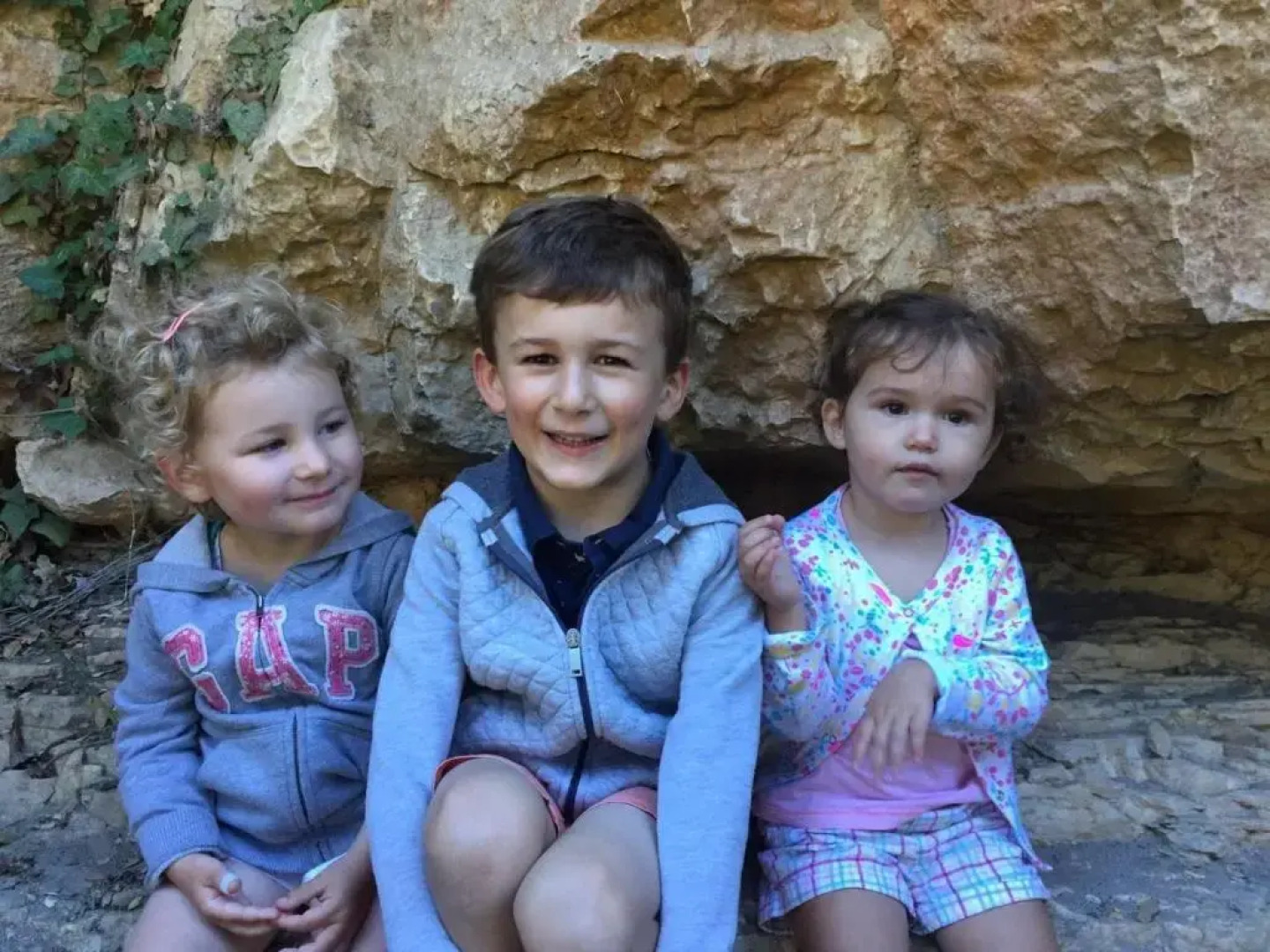 Logis le Mont Aigoual