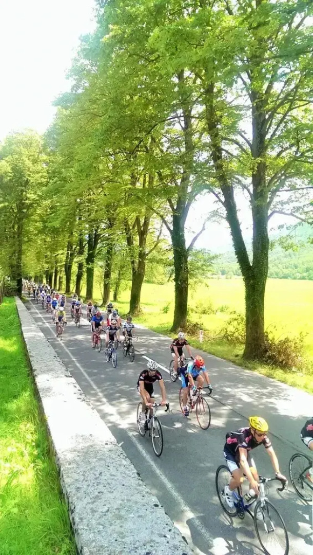 Apartment Honey Bee with Sauna