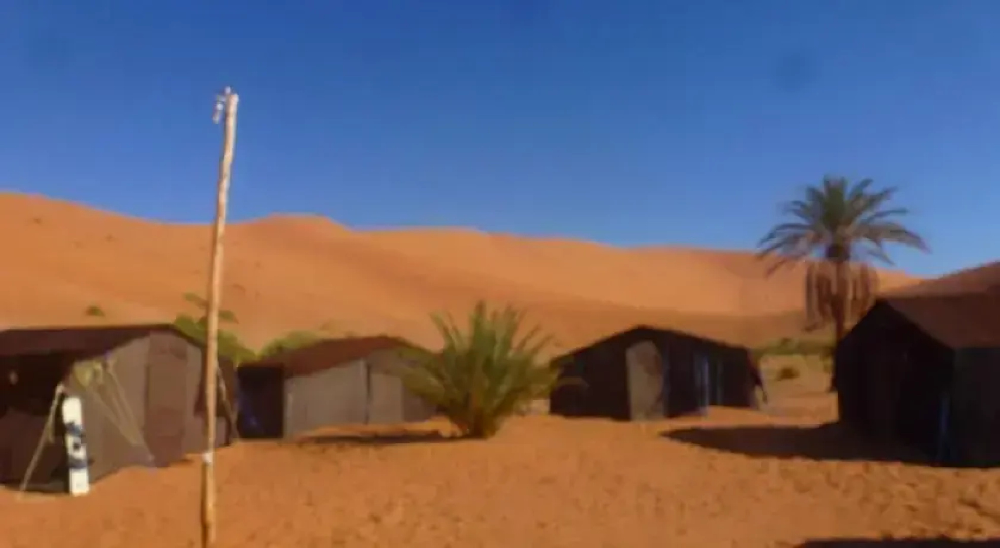 Oasis Camp