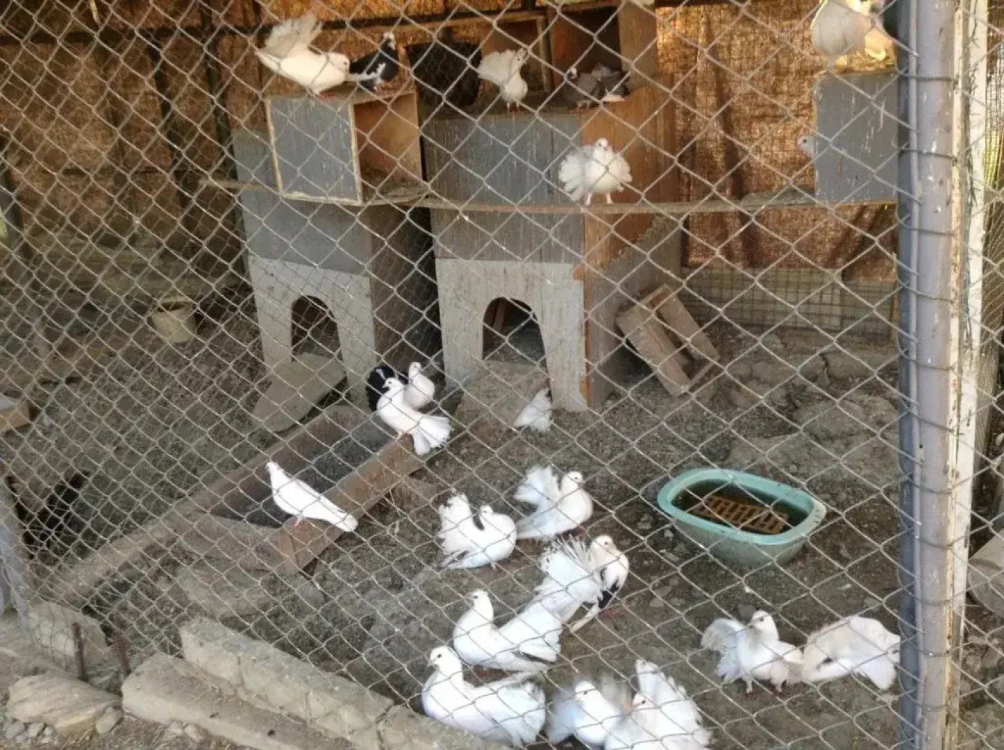 Raysky Ugolok Guest House