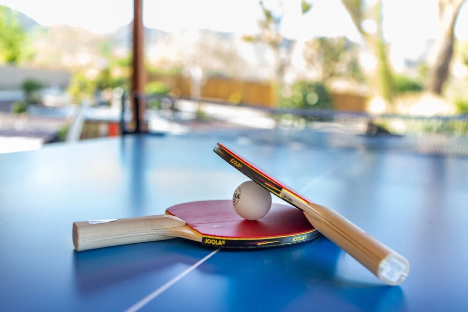 Desert Bloom by Avantstay Incredible Oasis w/ Dreamy Backyard & Patio