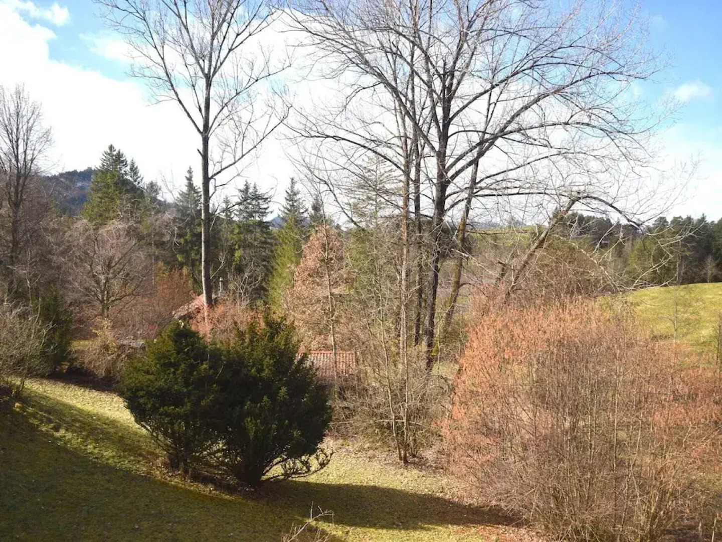 Alpine Escape & Playtime