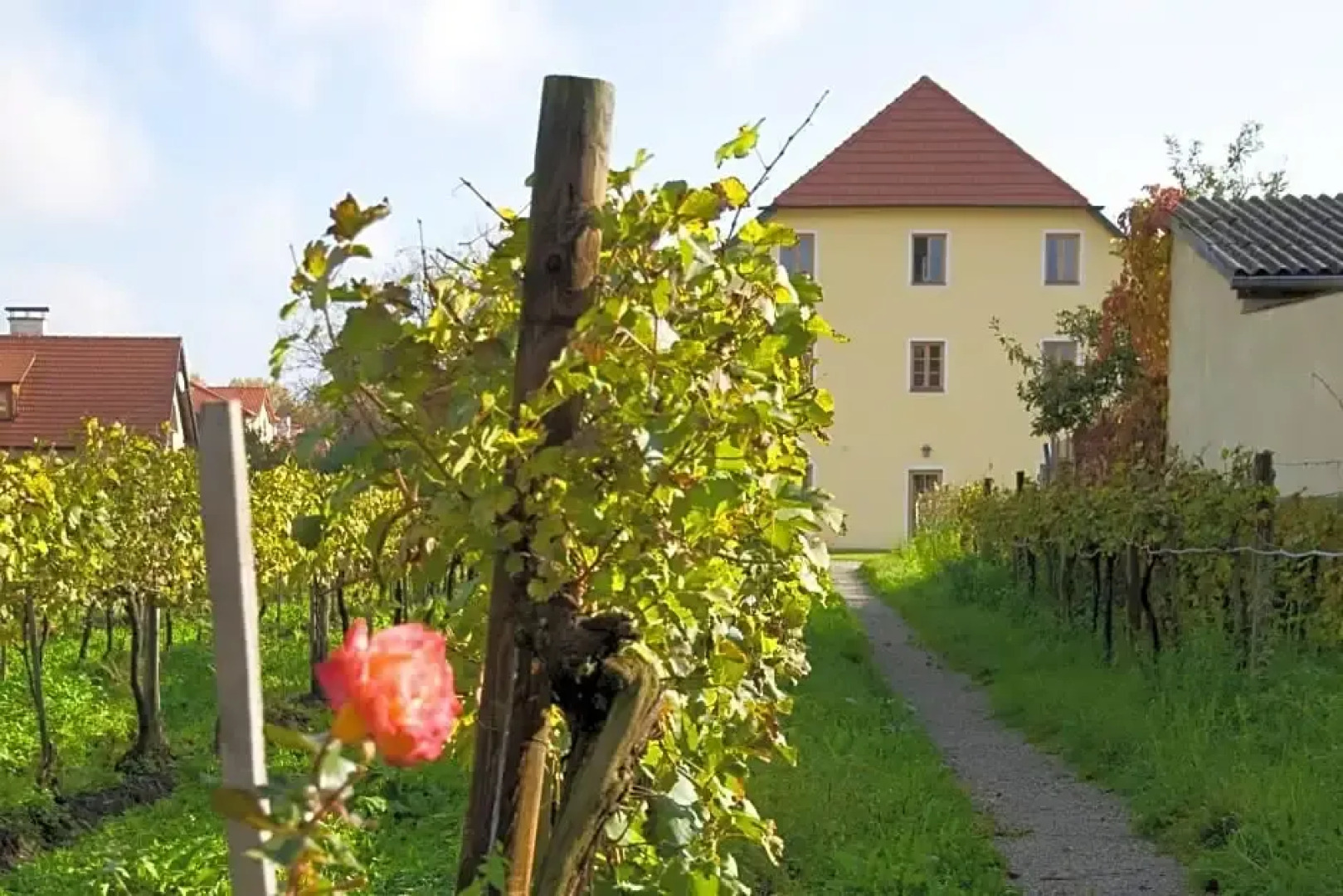 ad vineas Gästehaus Nikolaihof-Hotel Garni