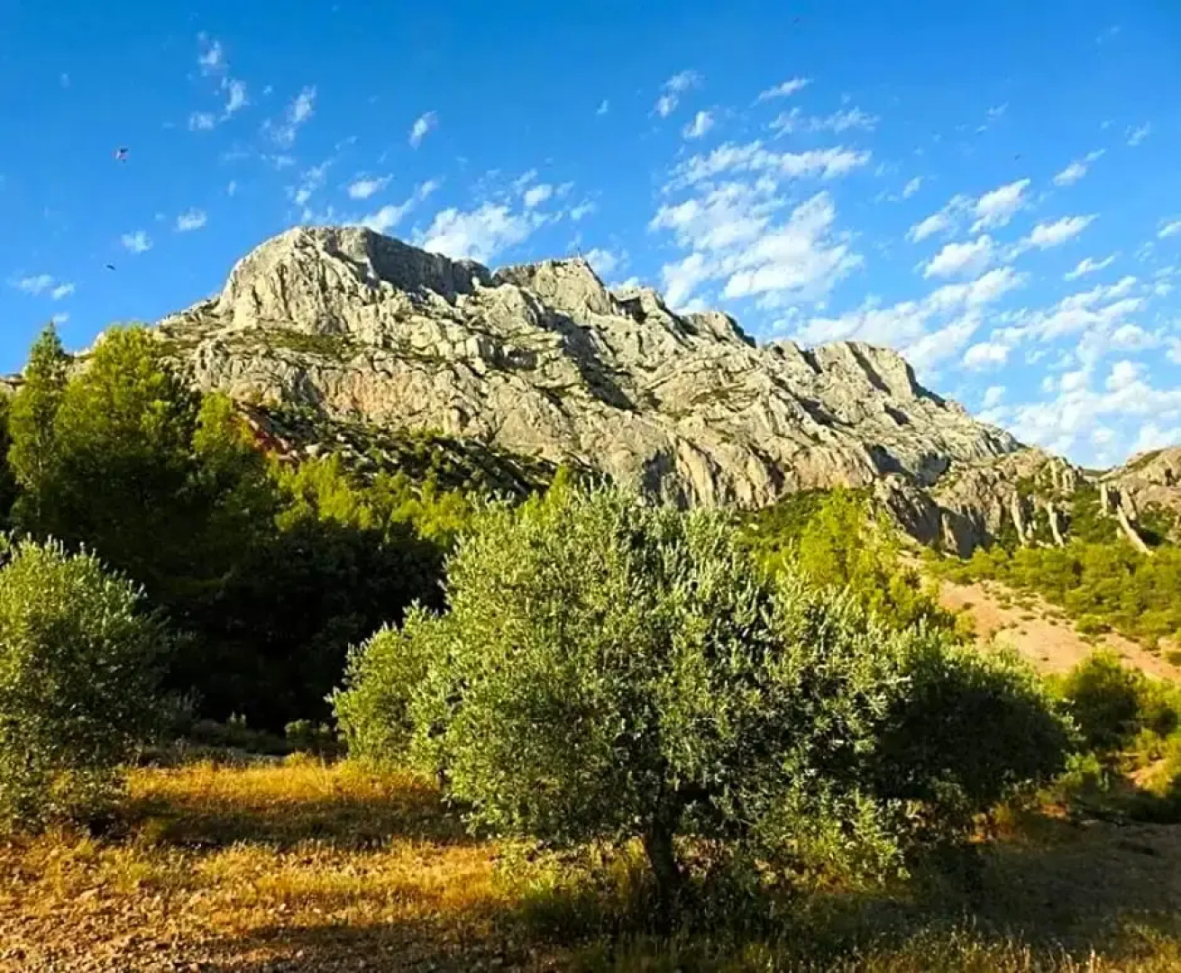 Chambre d'hôtes LE SECADOU