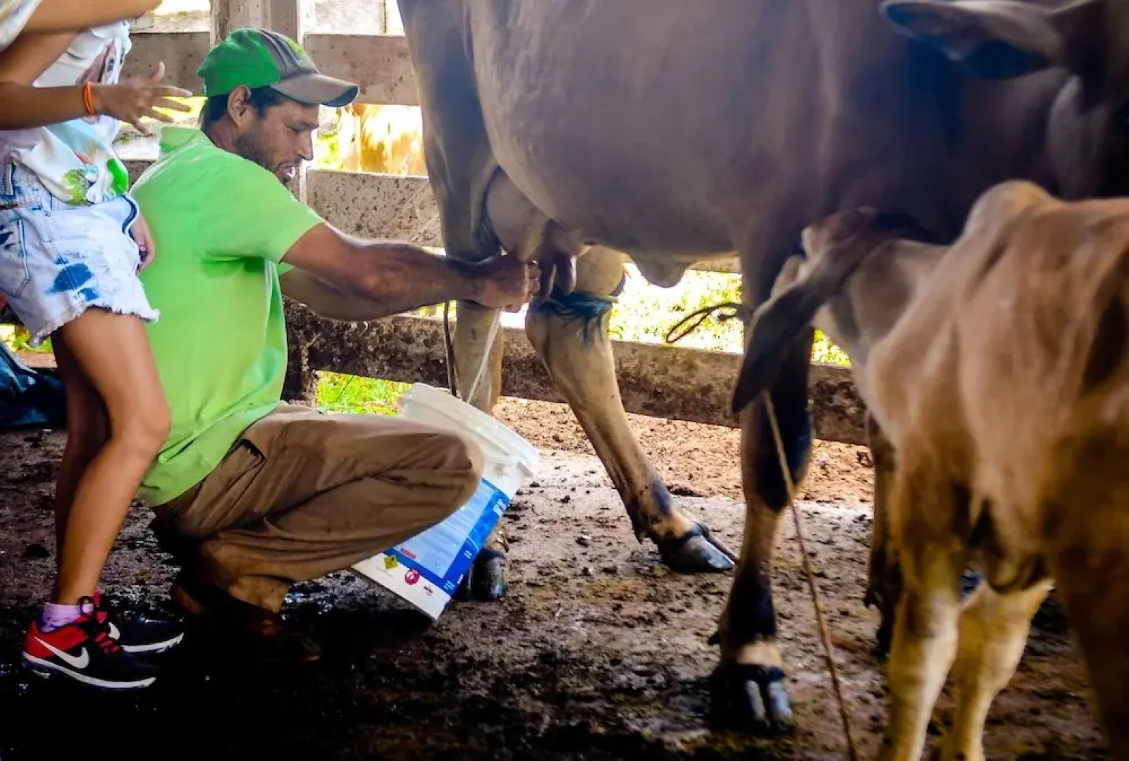 Pousada Casco de Ouro