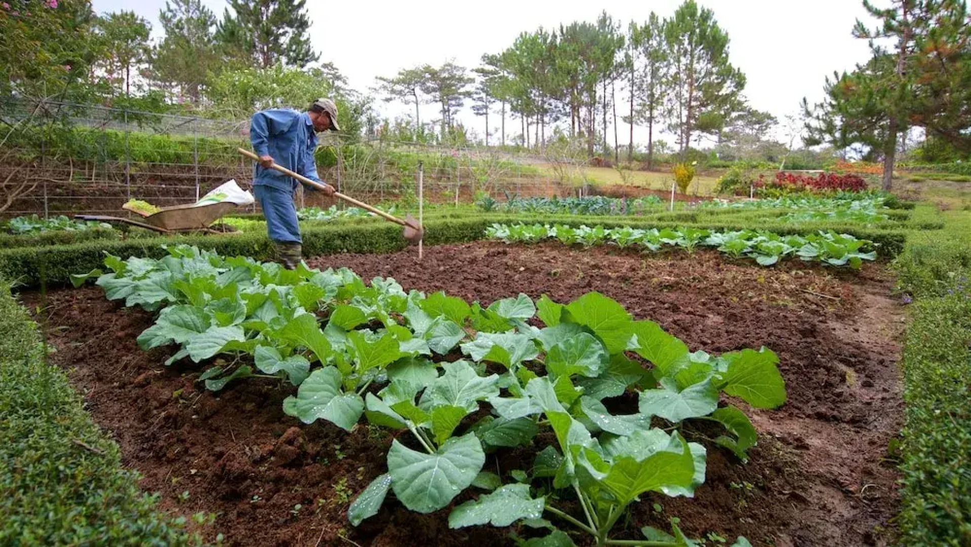 Binh An Village Dalat Resort