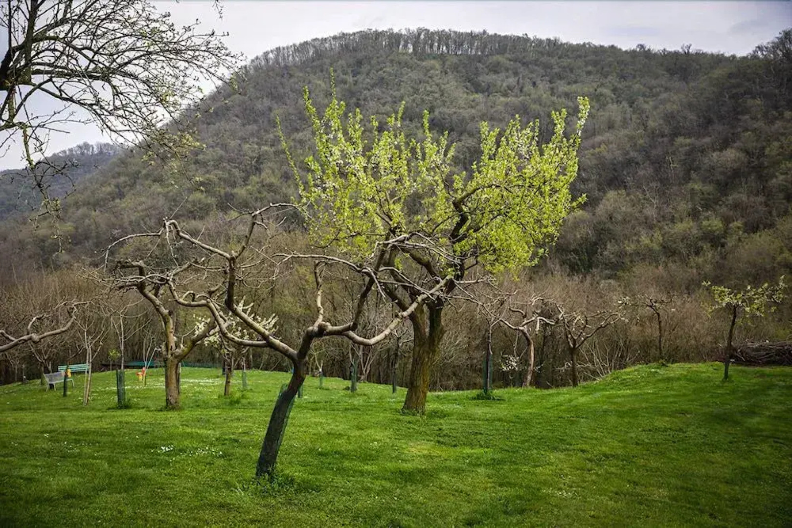 Bed and Breakfast La Quiete