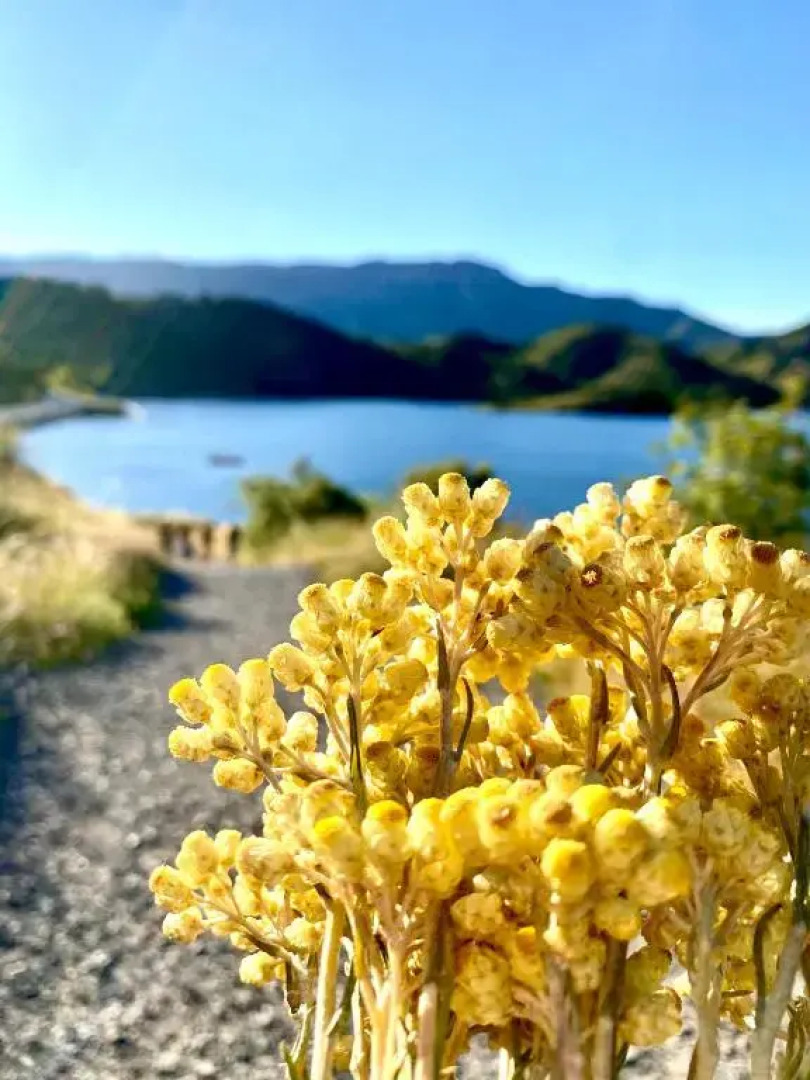 Apartaments Chenin Blanc