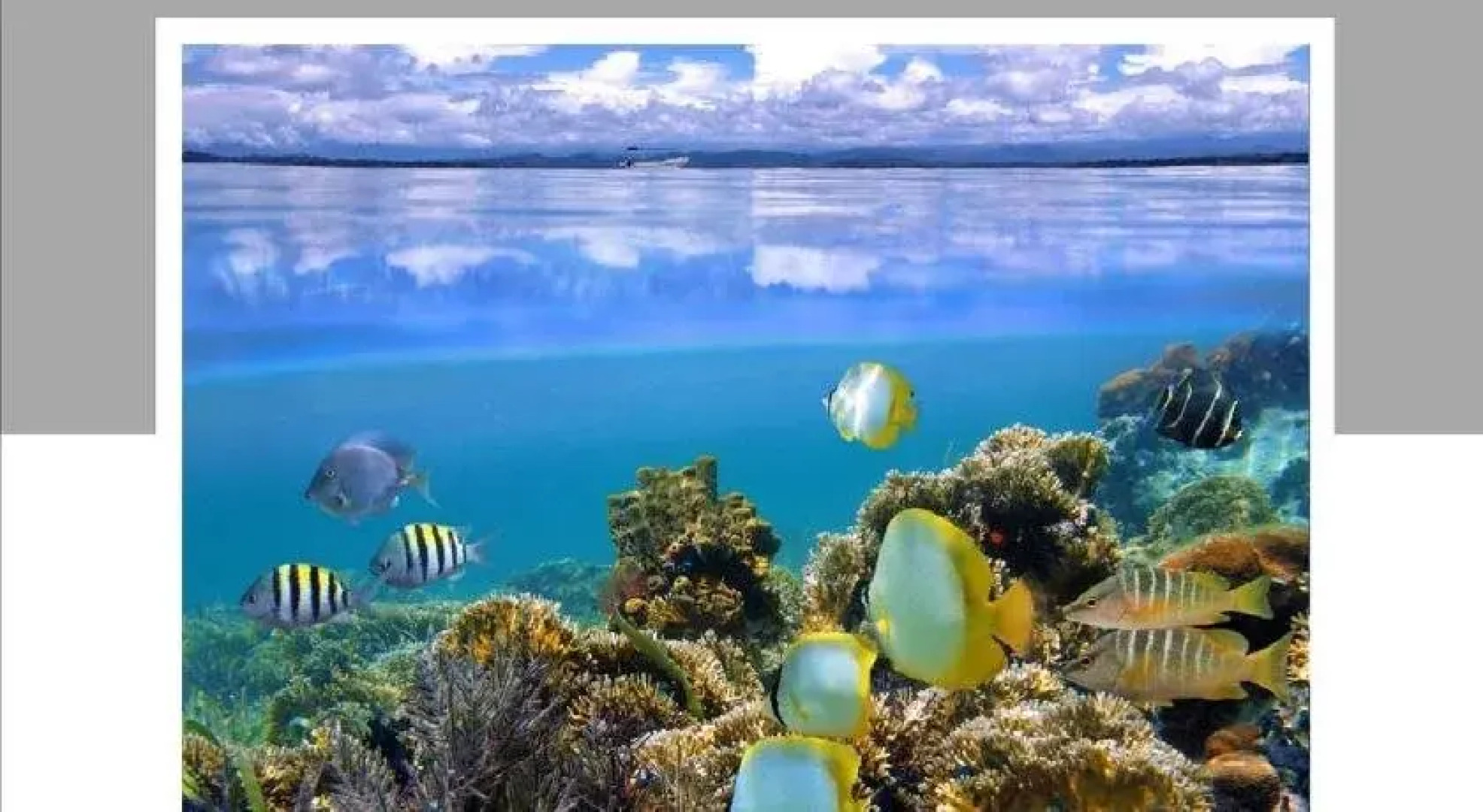 Sueño al Mar Residence & Hotel